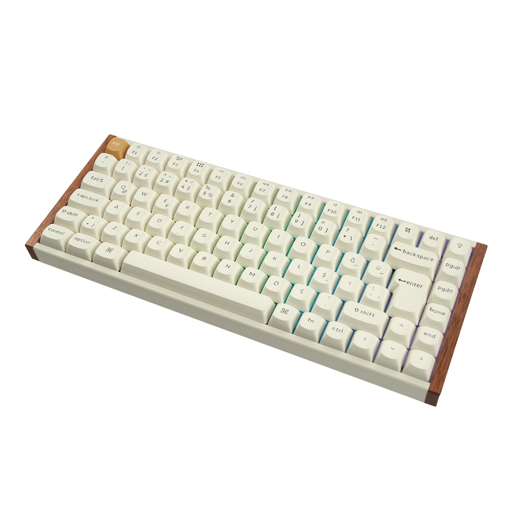keychron-k2-he-special-edition-beyaz-75-gateron-magnetic-nebula-manyetik-switch-hall-effect-rgb-kablosuz-hotswap-turkce-gaming-klavye-k2h-q1-tr-2202604292125404.jpg