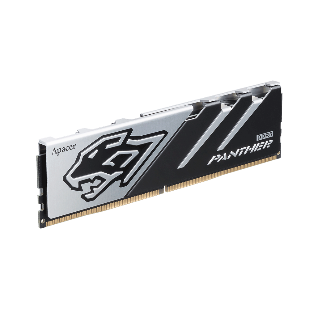 panther_ddr5_02202608202246171.png