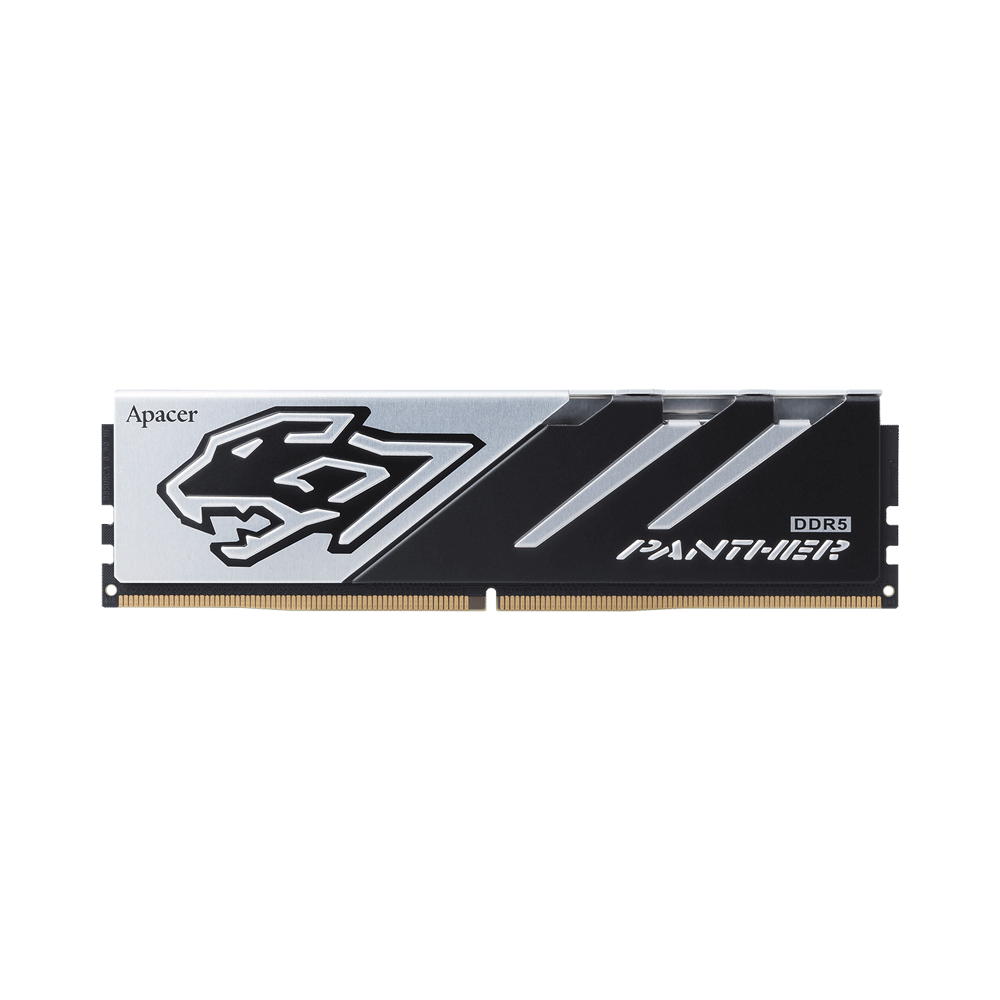 panther_ddr5_01202608202246160.png