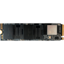 Hikvision E1000 PCI-Express 3.0 1 TB M.2 SSD Disk