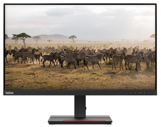 Lenovo ThinkVision S27e-20 27" 4ms Full HD Freesync IPS LED Monitor