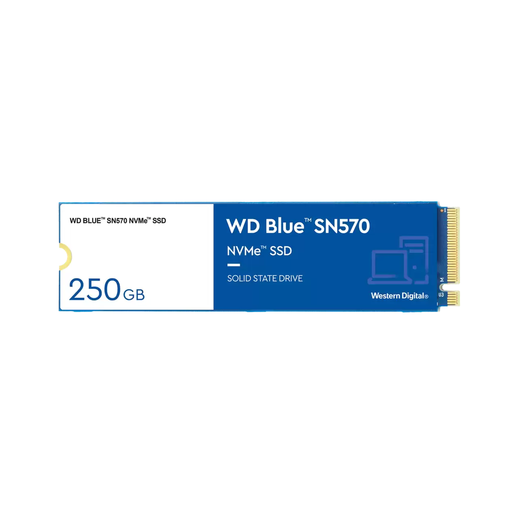 Western Digital Blue SN570 PCI-Express 3.0 250 GB M.2 SSD Disk