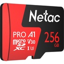 Netac 256GB P500 Extreme Pro UHS-I microSDXC Memory Card with SD Adapter