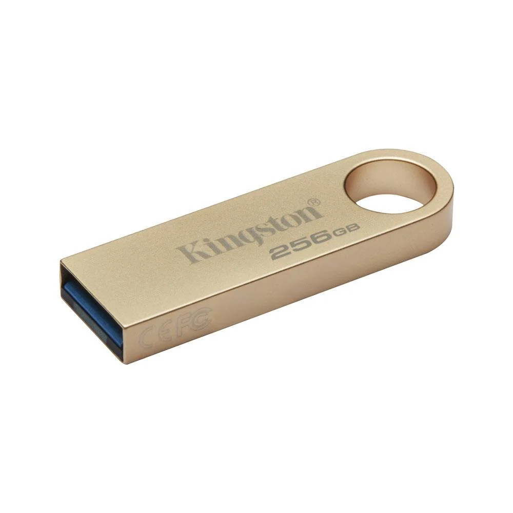 Kingston DataTraveler USB 3.2 DTSE9G3/256GB 256 GB Flash Memory