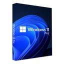 Microsoft Windows 11 Pro Turkish OEM FQC-10556 64 Bit Operating System